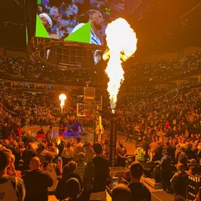 We actually stayed out last night after 7:00 PM. T-Wolves games are always a great time especially when they win!