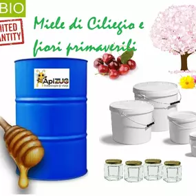 Bild von ApiZUG Bio srl