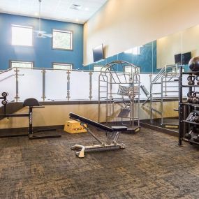 Fitness center with free weights and cardio machines.