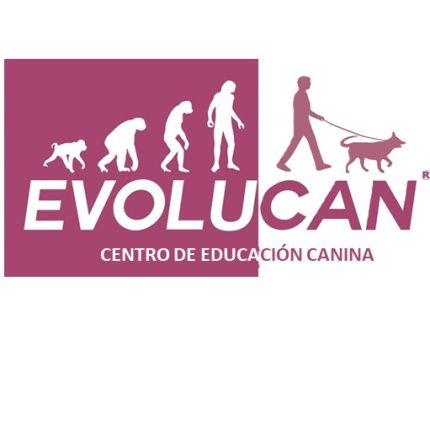 Logotipo de Evolucan