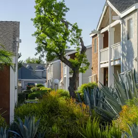 Exterior Townhomes