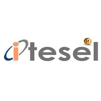 Logo de Itesel S.L.