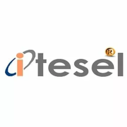 Logo von Itesel S.L.