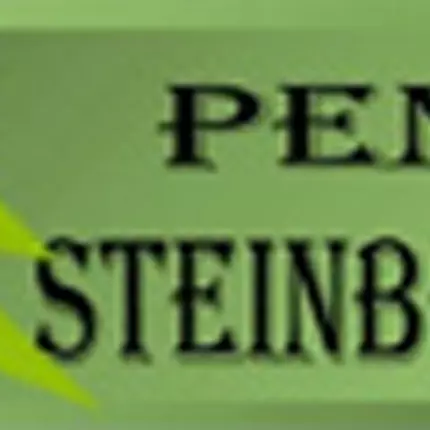 Logotyp från Pension Steinbergsblick