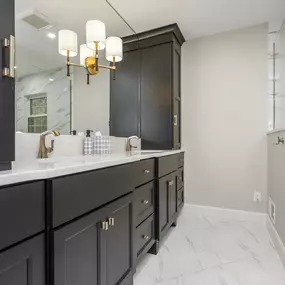 Black Cabinet Vanity and shower