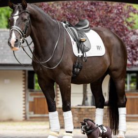 Bild von Ashurst Equestrian & Country