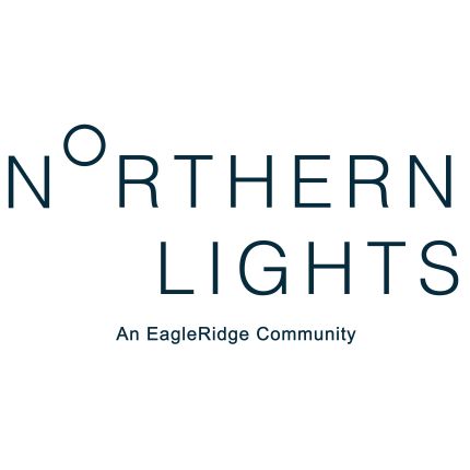 Logotyp från Northern Lights