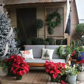Bild von Louisiana Nursery