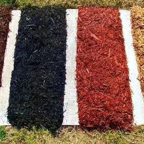 Bild von Louisiana Nursery
