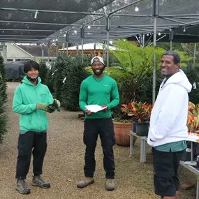 Bild von Louisiana Nursery