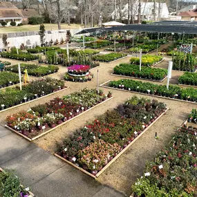 Bild von Louisiana Nursery