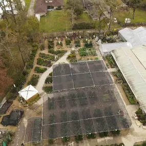Bild von Louisiana Nursery