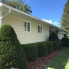 The Gutter Experts