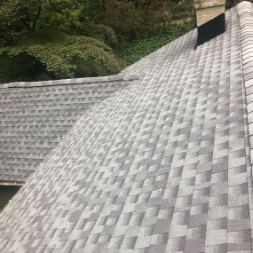Roof Repair Specialists