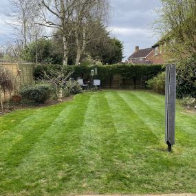 Bild von Dphall Landscaping & Garden Maintenance