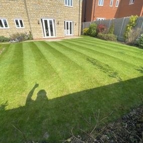 Bild von Dphall Landscaping & Garden Maintenance