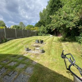 Bild von Dphall Landscaping & Garden Maintenance