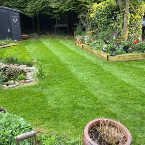 Bild von Dphall Landscaping & Garden Maintenance