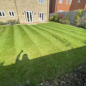 Bild von Dphall Landscaping & Garden Maintenance