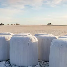 Ballenwickelfolie - Siloballen
enrubannage