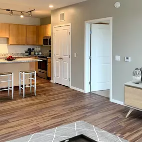 Open space living room and kitchen