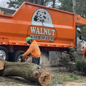 Bild von Walnut Tree Services