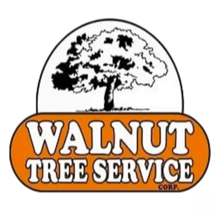 Logótipo de Walnut Tree Service