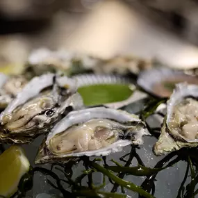 Oysters at Vintage Green Rooftop.