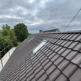 Bild von Rise Above Roofing Ltd