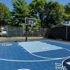 Basketball Court