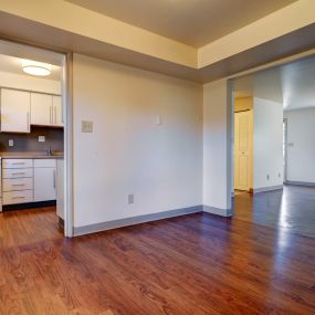 Living Room and Kitchen