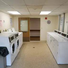 Laundry Suites