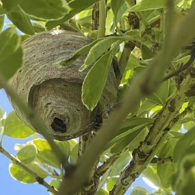 Bild von SPC Pest Control