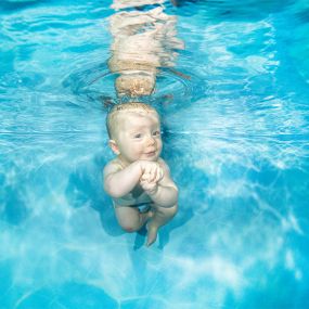 Bild von Tauch- und Bootsfahrschule Unterwassersafari