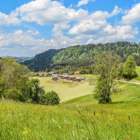 Bild von Schrofen Chalets