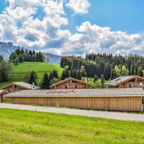 Bild von Schrofen Chalets