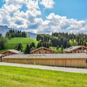 Bild von Schrofen Chalets