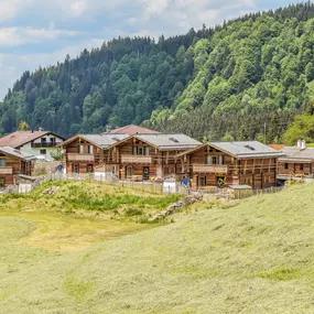 Bild von Schrofen Chalets