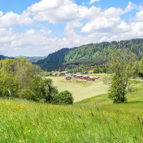 Bild von Schrofen Chalets