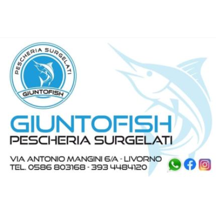 Logo de Giuntofish