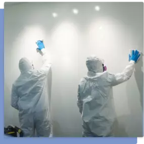 Mold Removal Services in Bossier, LA