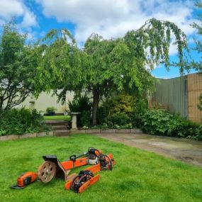 Bild von Arbutus Tree Services