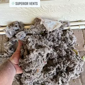 Bild von Superior Vents