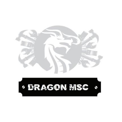 Logotyp från Dragon MSC