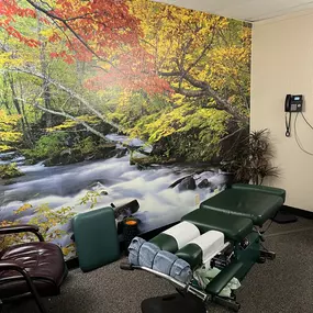 Chiropractic Adjustment Room