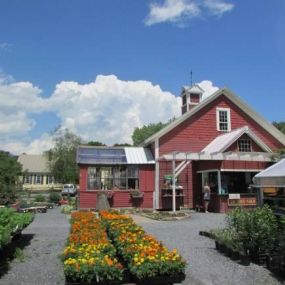 Bild von In The Garden Greenhouses