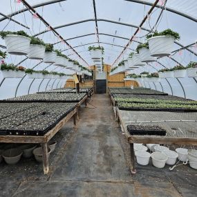 Bild von In The Garden Greenhouses