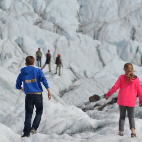 Bild von Glacier Tours