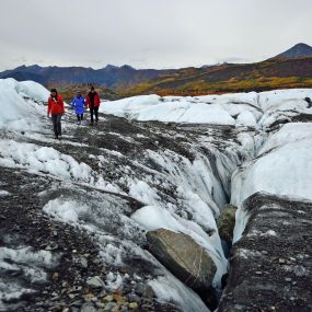 Bild von Glacier Tours