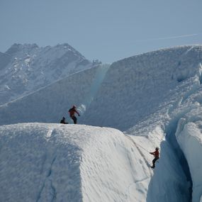 Bild von Glacier Tours